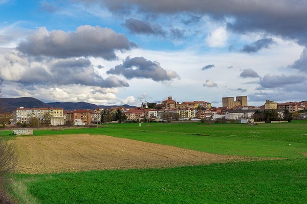 MEDINA DE POMAR